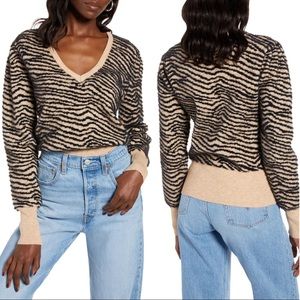 Astr the label Tiger Stripe V-Neck Sweater